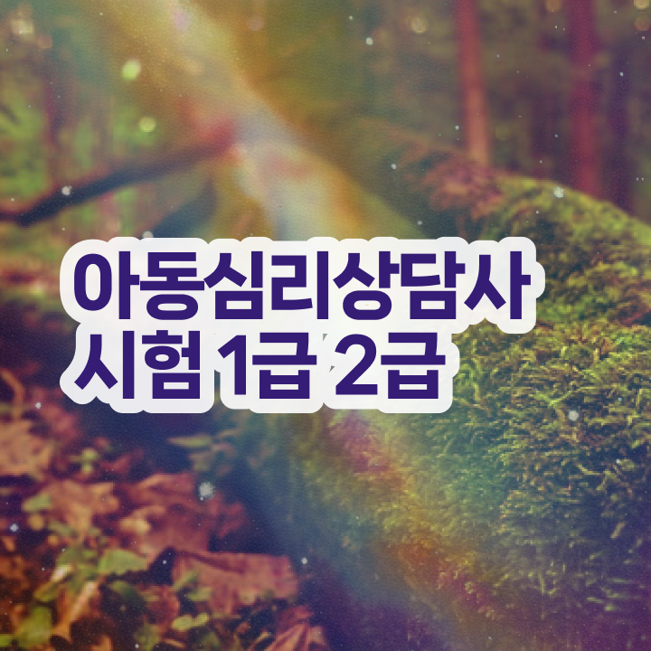  심리상담사1급전문교육 , 심리상담사 자격증 한달 만에 취득 노하우 정보 모두 드려요