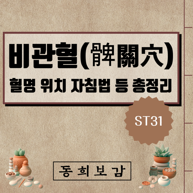  비관혈(髀關穴) ST31, 소속경맥 혈명 위치 특성 자침법 등 총정리