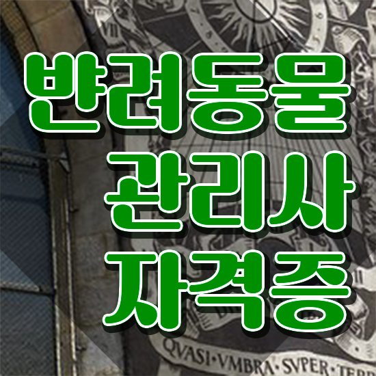  , 반려동물관리사 자격증 응시자격 없이 준비한 과정 , 취업 전망