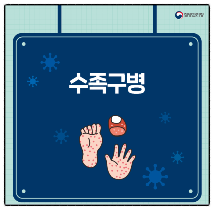  아기 수족구 초기 중기 말기 증상 대처방법 예방 급속히 유행중