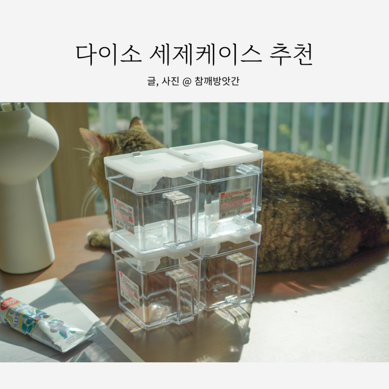다이소 세제통 세제케이스 가루세제통 숨은 꿀템