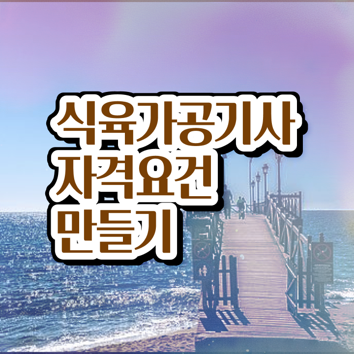  식육가공기사 자격요건 인강만 듣고 간편하게 완료한 과정