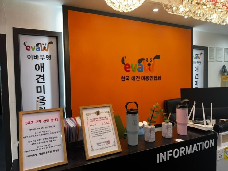  부천/인천 애견미용자격증, 행동교정자격증 한 번에 취득 가능한 학원(비용, 시간표)