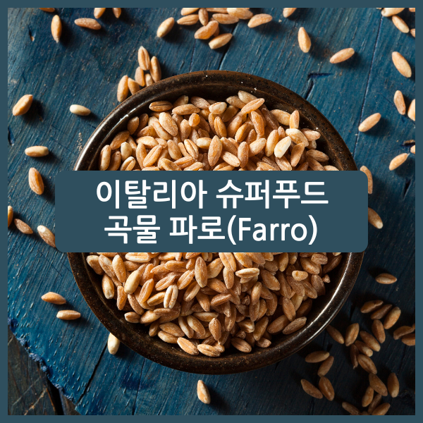 슈퍼푸드 파로 곡물 효능과 부작용 먹는방법