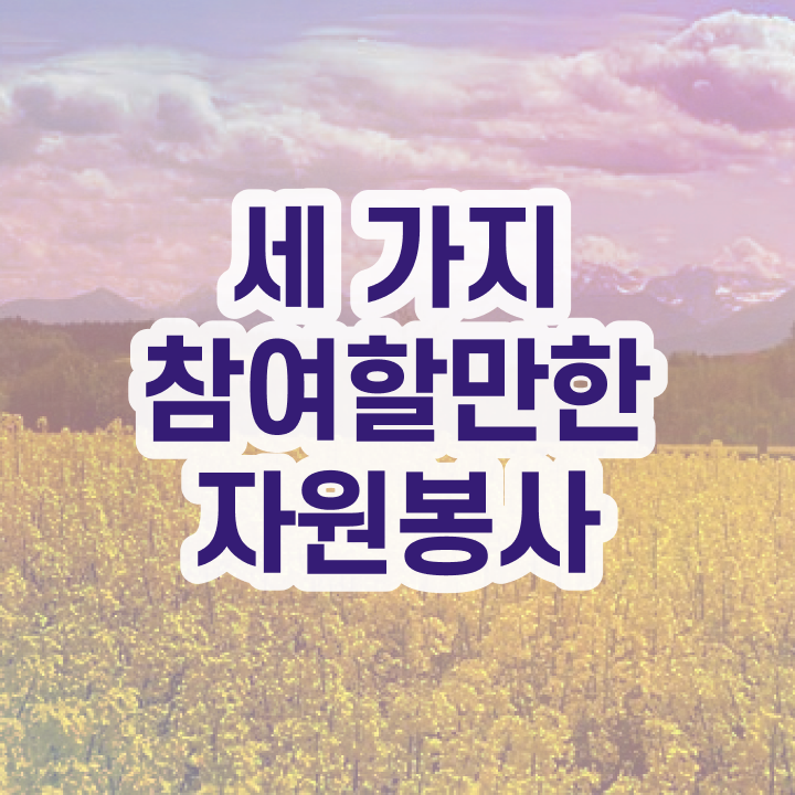  자원봉사지도사 합격률 , 자원봉사지도사 자격증 1급,2급 동시에 준비한 과정 , 무료수강 혜택