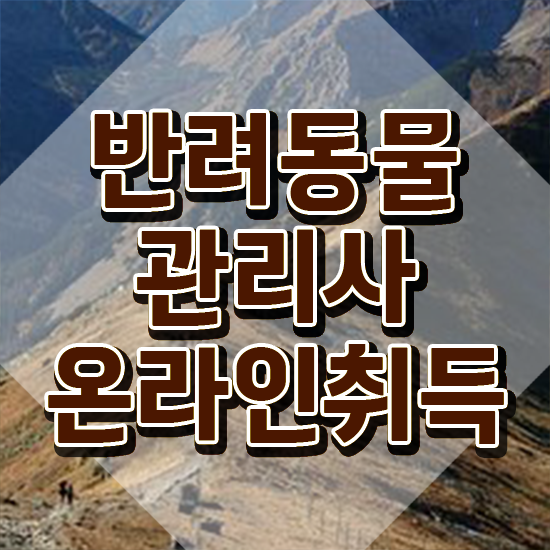  반려견운동지도사 , 반려동물관리사 자격증 15일 만에 합격한 비법 및 취업 전망