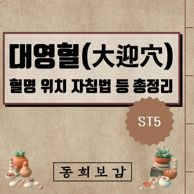  대영혈(大迎穴) ST5, 소속경맥 혈명 위치 특성 자침법 등 총정리