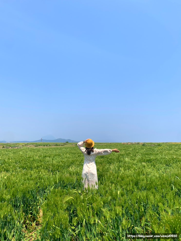  제주 가파도 배 시간, 배 예약, 탑승 시 주의사항, 배 시간 변경 방법