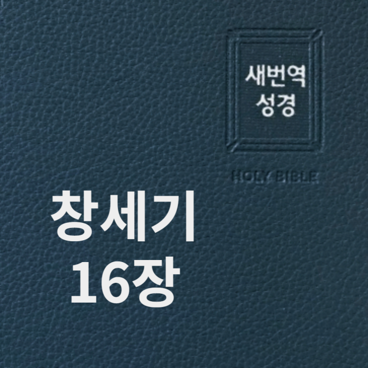 창세기 16장 창세기 16장