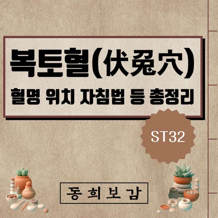  복토혈(伏兎穴) ST32, 소속경맥 혈명 위치 특성 자침법 등 총정리
