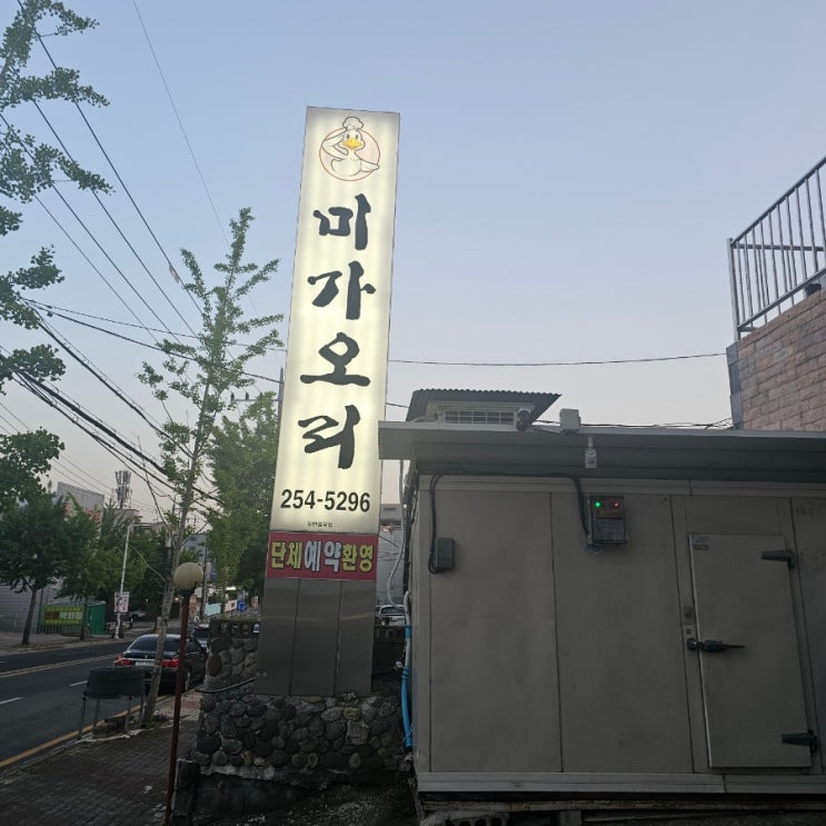  언양맛집 참숯에 구워먹는 생오리 고기집 미가오리