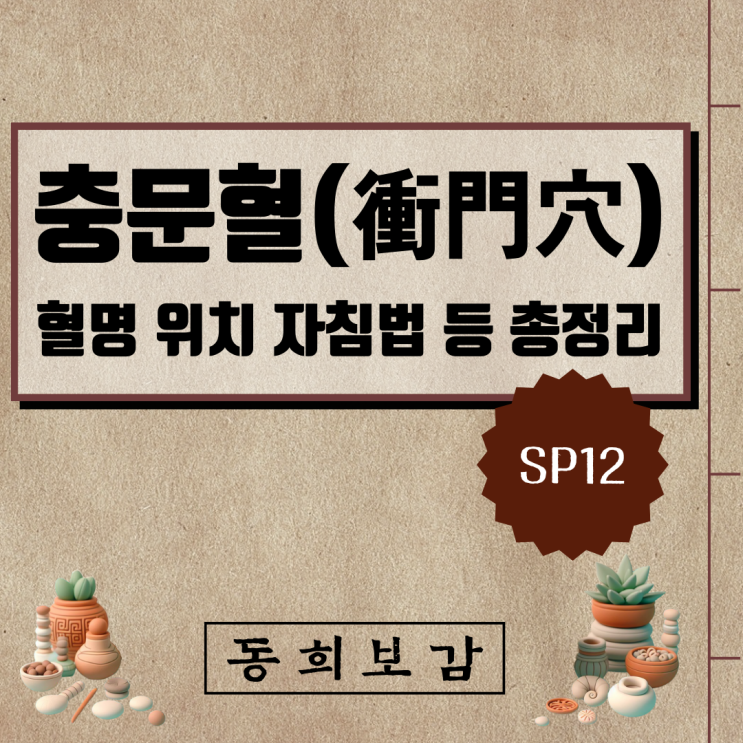  충문혈(衝門穴) SP12, 소속경맥 혈명 위치 특성 자침법 등 총정리