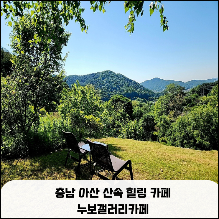  충남 아산 산속 힐링 카페   누보갤러리카페