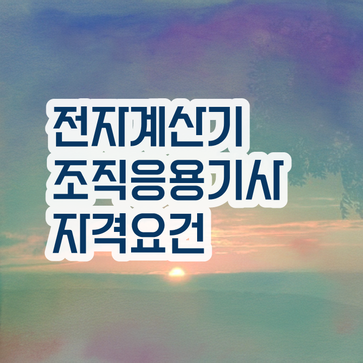 전자계산기조직응용기사 필기 난이도 전자계산기조직응용기사 시험자격 인강만 듣고 15주만에 준비한 비법