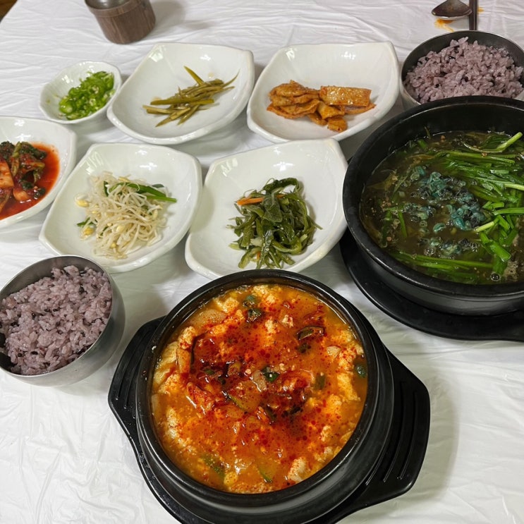  단양맛집 대교식당 올갱이해장국 순두부 아침식사 가능 밥집