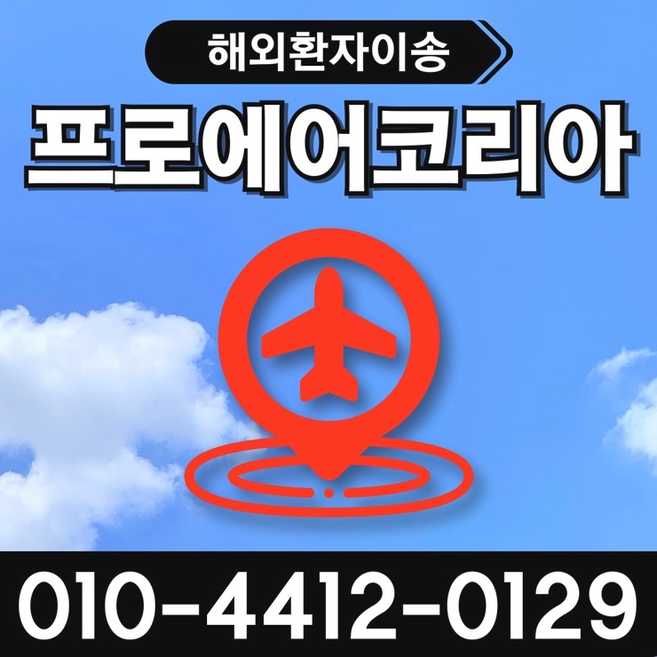  해외환자이송 상황별 맞춤 서비스를 제공하는 곳