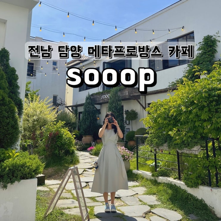  광주 근교 데이트하기 좋은 담양 메타프로방스 카페 sooop 숲