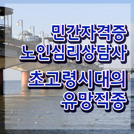  노인심리상담사 자격증 , 노인심리상담사 자격증 취득한 과정 최단기간 취득한 과정