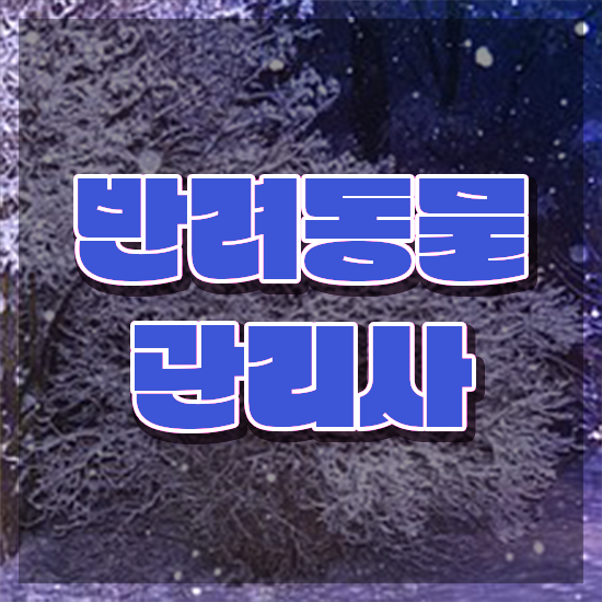  , 반려동물관리사 자격증 합격정보 최단기간 취득한 과정
