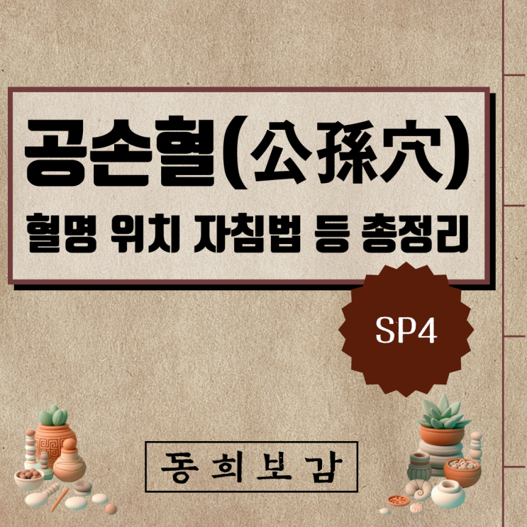  공손혈(公孫穴) SP4, 소속경맥 혈명 위치 특성 자침법 등 총정리