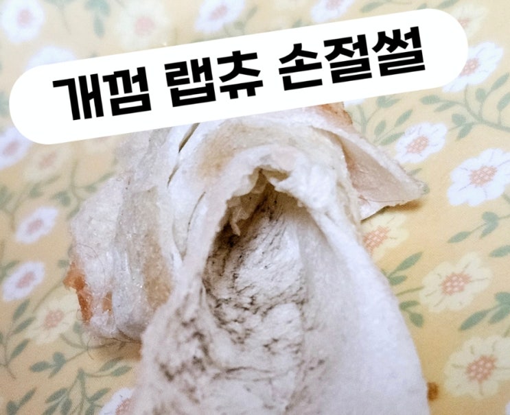  우리애기 최애간식 개껌 랩츄 손절한 후기