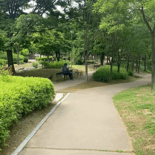  강아지 산책로 추천 인천 구월동 남동문화공원
