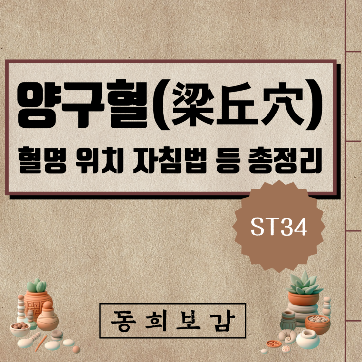  양구혈(梁丘穴) ST34, 소속경맥 혈명 위치 특성 자침법 등 총정리