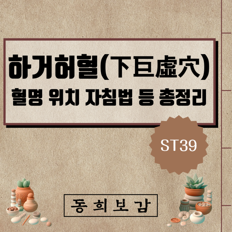  하거허혈(下巨虛穴) ST39, 소속경맥 혈명 위치 특성 자침법 등 총정리