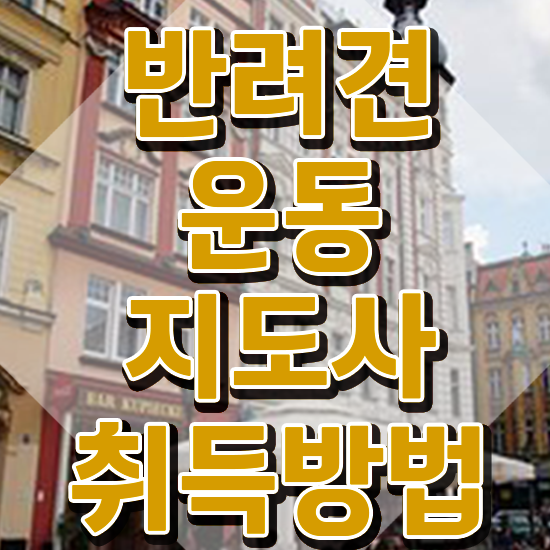  40대취업자격증 , 반려견운동지도사 온라인 교육원에서 성공한 노하우