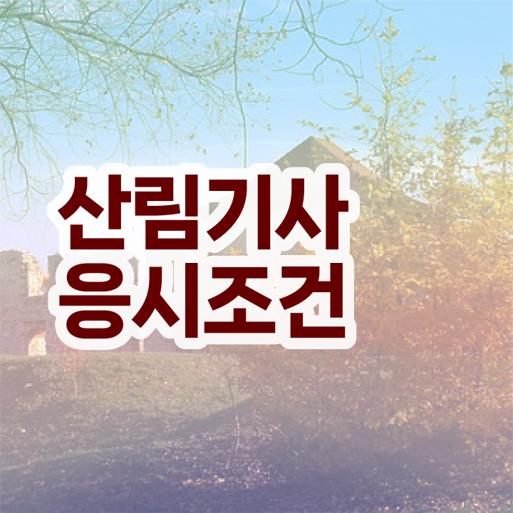  산림기사 필기 접수 산림기사 시험자격 집에서 온라인으로 반 년만에 완료한 비법