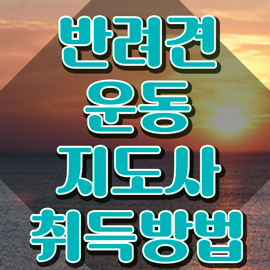 경기도강아지운동장 , 반려견운동지도사 취득했던 후기 , 교육기관