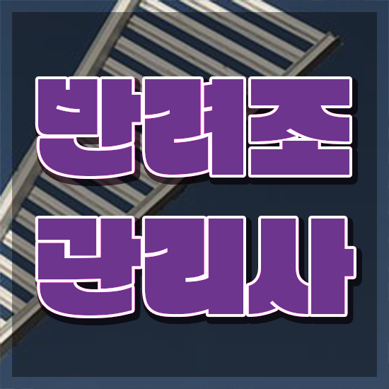  코뉴어 앵무새 종류 , 반려조관리사 자격증 온라인 교육으로 준비한 방법 , 무료수강 혜택