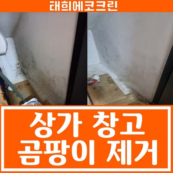 전주청소업체-상가 곰팡이 제거(부분청소)