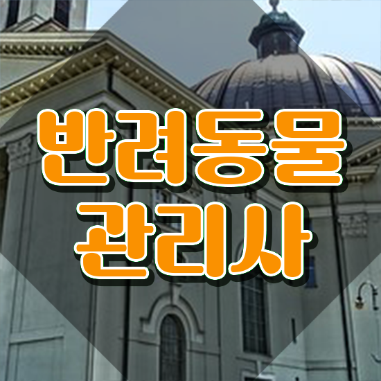  동물관련 직업 , 반려동물관리사 자격증 학습한 후기 콕콕 짚어드립니다