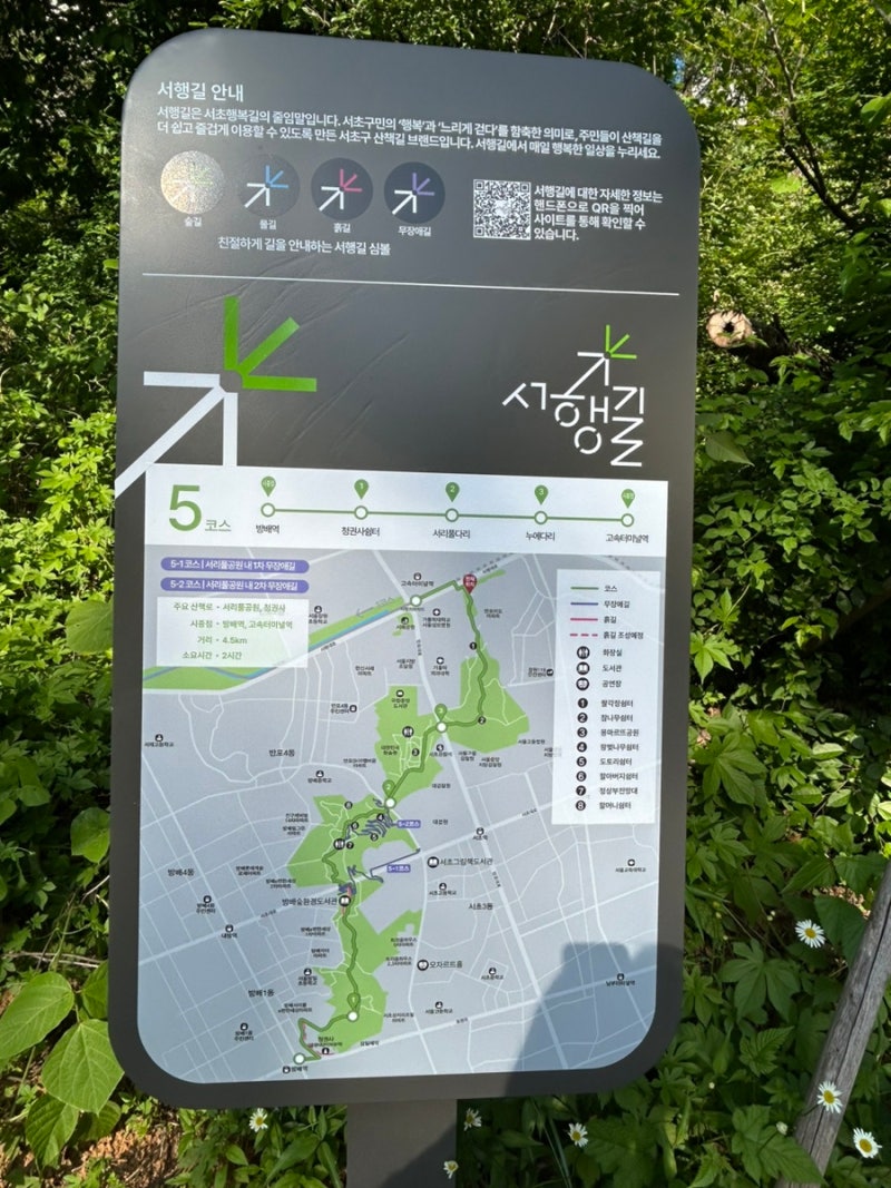 사진 2