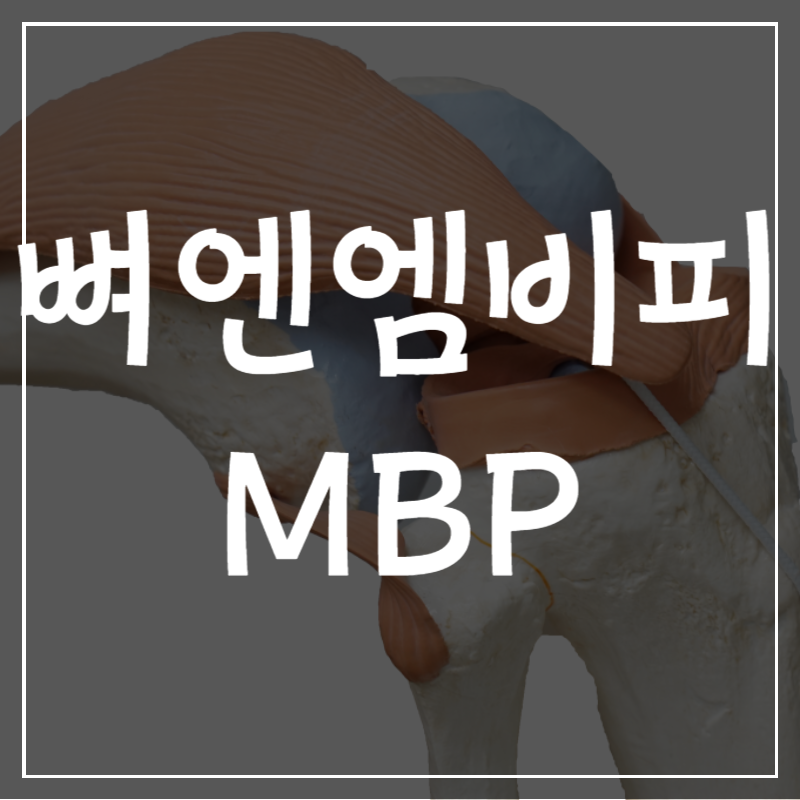 뼈엔 엠비피 MBP 효능 부작용 성분