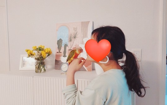  레드파인애플 코뉴어 앵무새  반려조_ 소라 1년전 모습 기록