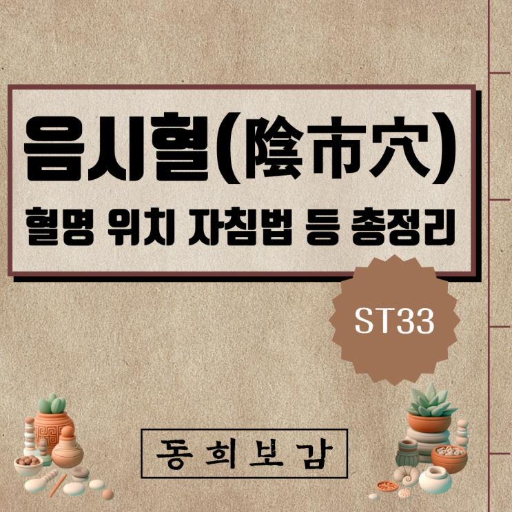  음시혈(陰市穴) ST33, 소속경맥 혈명 위치 특성 자침법 등 총정리