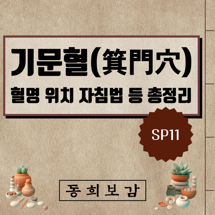  기문혈(箕門穴) SP11, 소속경맥 혈명 위치 특성 자침법 등 총정리
