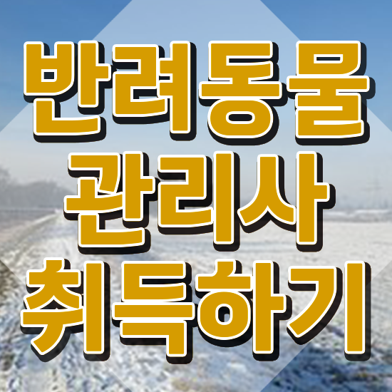  오산 강아지 훈련사 , 반려동물관리사 자격증 취득 노하우 보고가세요