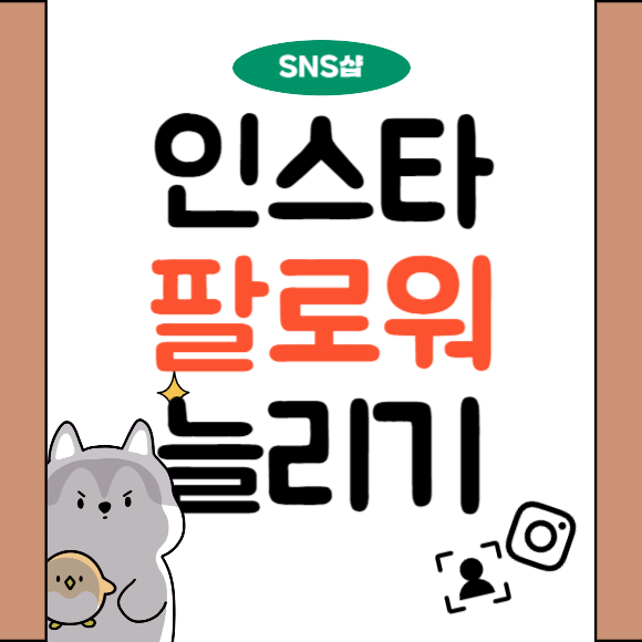  인스타 팔로워 늘리기 sns샵 진행한 후기