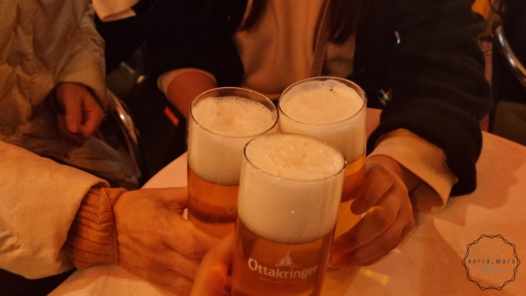  유럽의 낭만! 오스트리아 비엔나에서 야장 즐기기