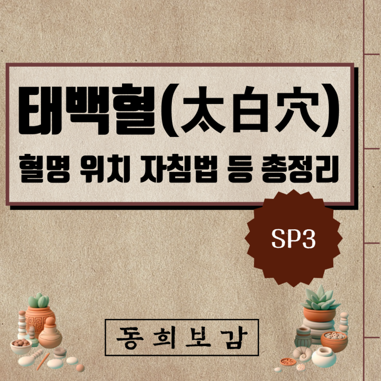  태백혈(太白穴) SP3, 소속경맥 혈명 위치 특성 자침법 등 총정리