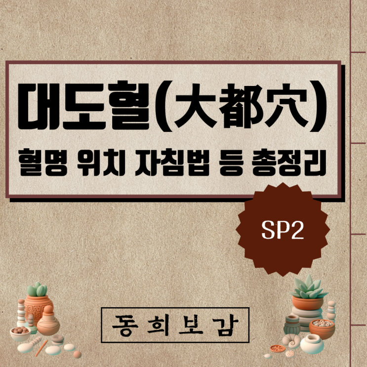  대도혈(大都穴) SP2, 소속경맥 혈명 위치 특성 자침법 등 총정리