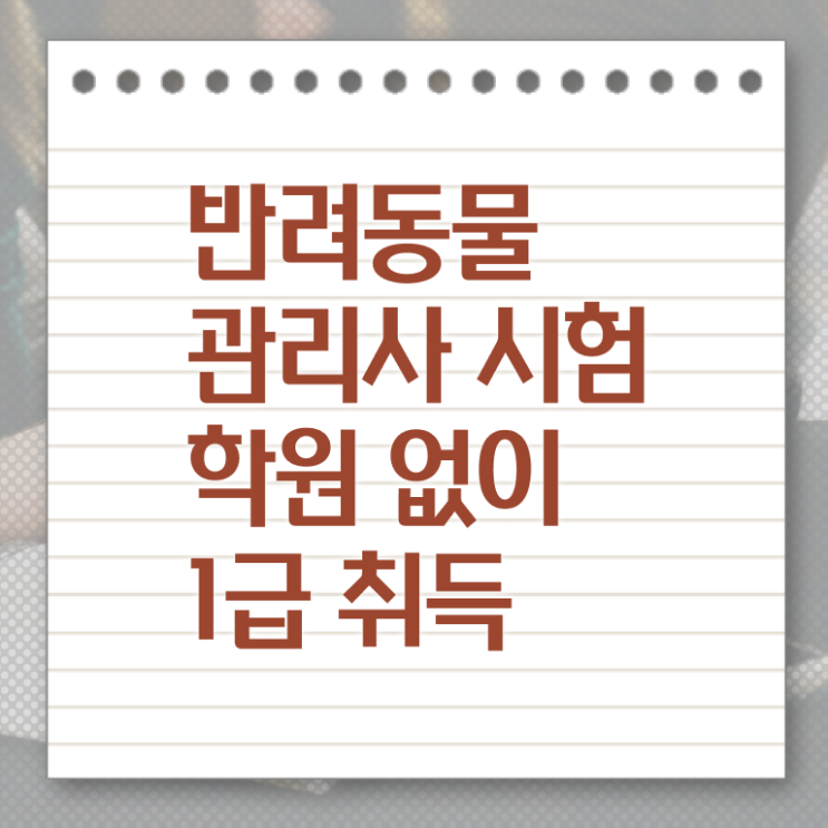  세종시 반려동물 등록 , 반려동물관리사 자격증 구체적인 취득한 방법 , 취업 전망