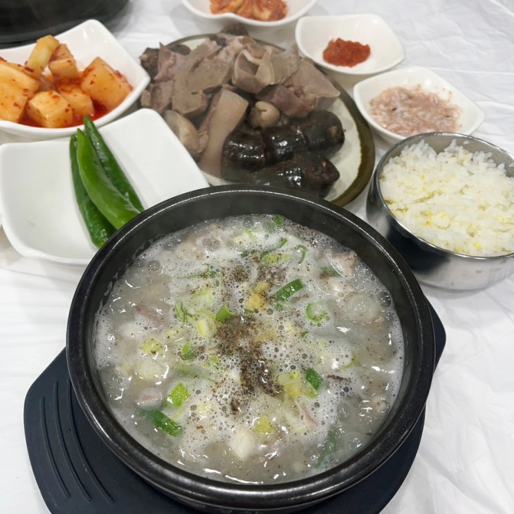  단양 충청도순대 백종원의 3대천왕 마늘순대 맛집