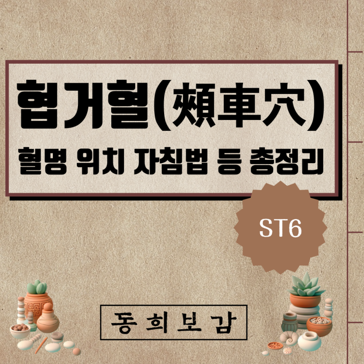  협거혈(頰車穴) ST6, 소속경맥 혈명 위치 특성 자침법 등 총정리