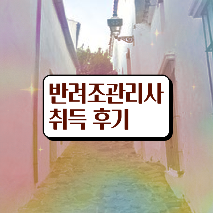  말하는 앵무새 분양 , 반려조관리사 자격증 응시자격 없이 취득한 과정 , 취업 전망