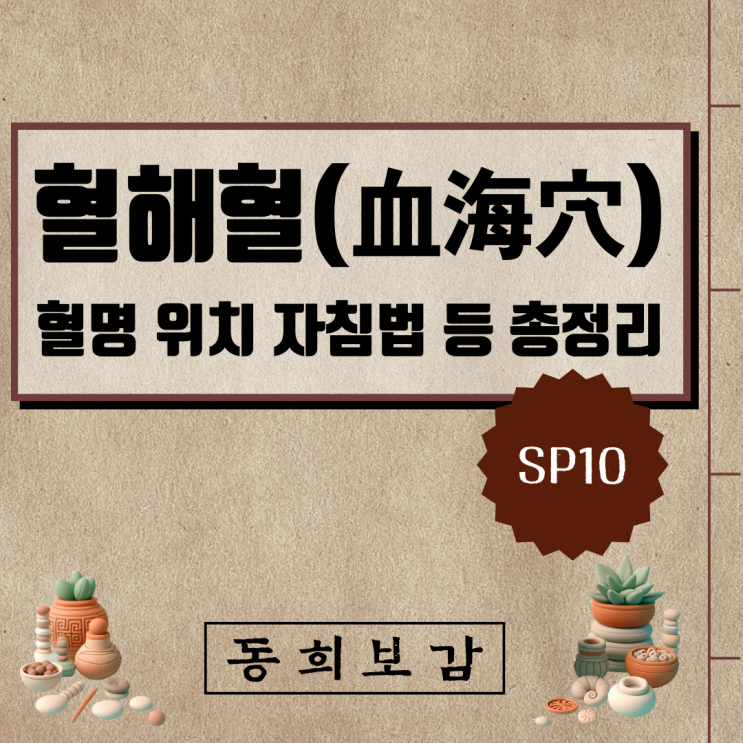 혈해혈(血海穴) SP10, 소속경맥 혈명 위치 특성 자침법 등 총정리