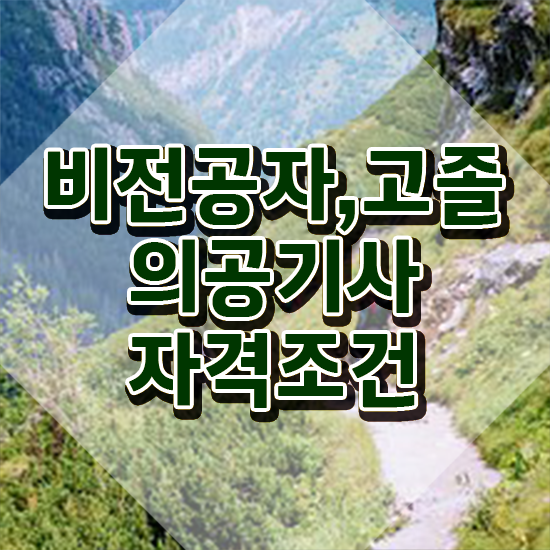  의공기사 응시조건 의공기사 응시자격 온라인 과정으로 5개월 만에 성공한 후기